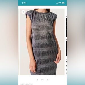 EUC silver Soaked in Luxury Dress